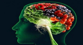 رژیم غذایی ذهن چطور به پیشگیری از آلزایمر کمک میکند؟