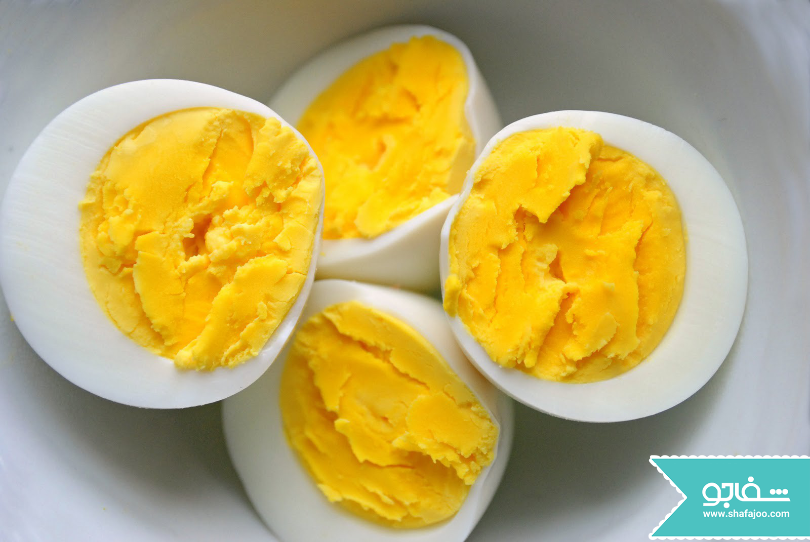 حقایقی در مورد فواید و مضرات مصرف تخم مرغ