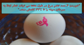 تخم مرغ و کاهش خطر ابتلا به سرطان سینه