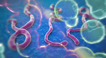 ابولا چیست؟ علل، علائم، تشخیص و درمان ابولا