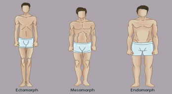 انواع  فرم بدن در زنان و مردان